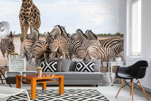 Vlies Fototapete - Giraffen und Zebras 375 x 250 cm